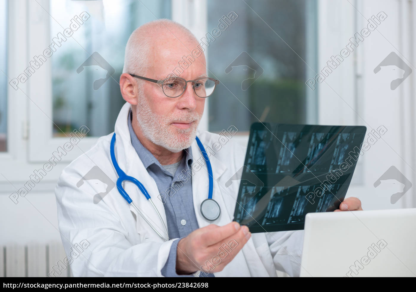 Reifer Doktor Der Einen Röntgenstrahl In Einem Büro Stockfoto 23842698 Bildagentur