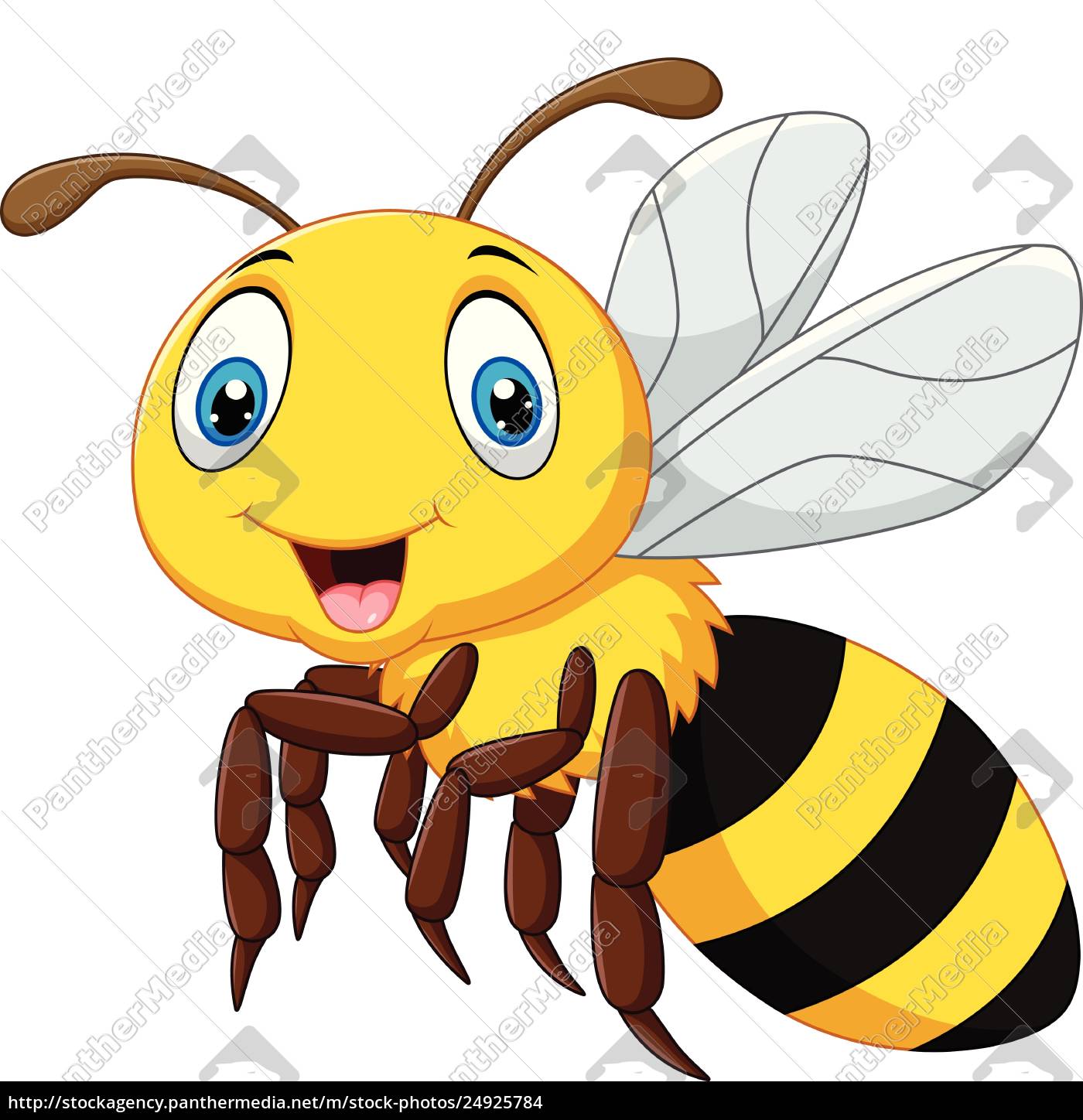 Cartoon Lacheln Biene Fliegen Isoliert Auf Weissem Lizenzfreies Foto Bildagentur Panthermedia