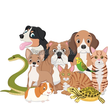 Illustration Gruppe Von Haustieren Cartoon Stock Photo