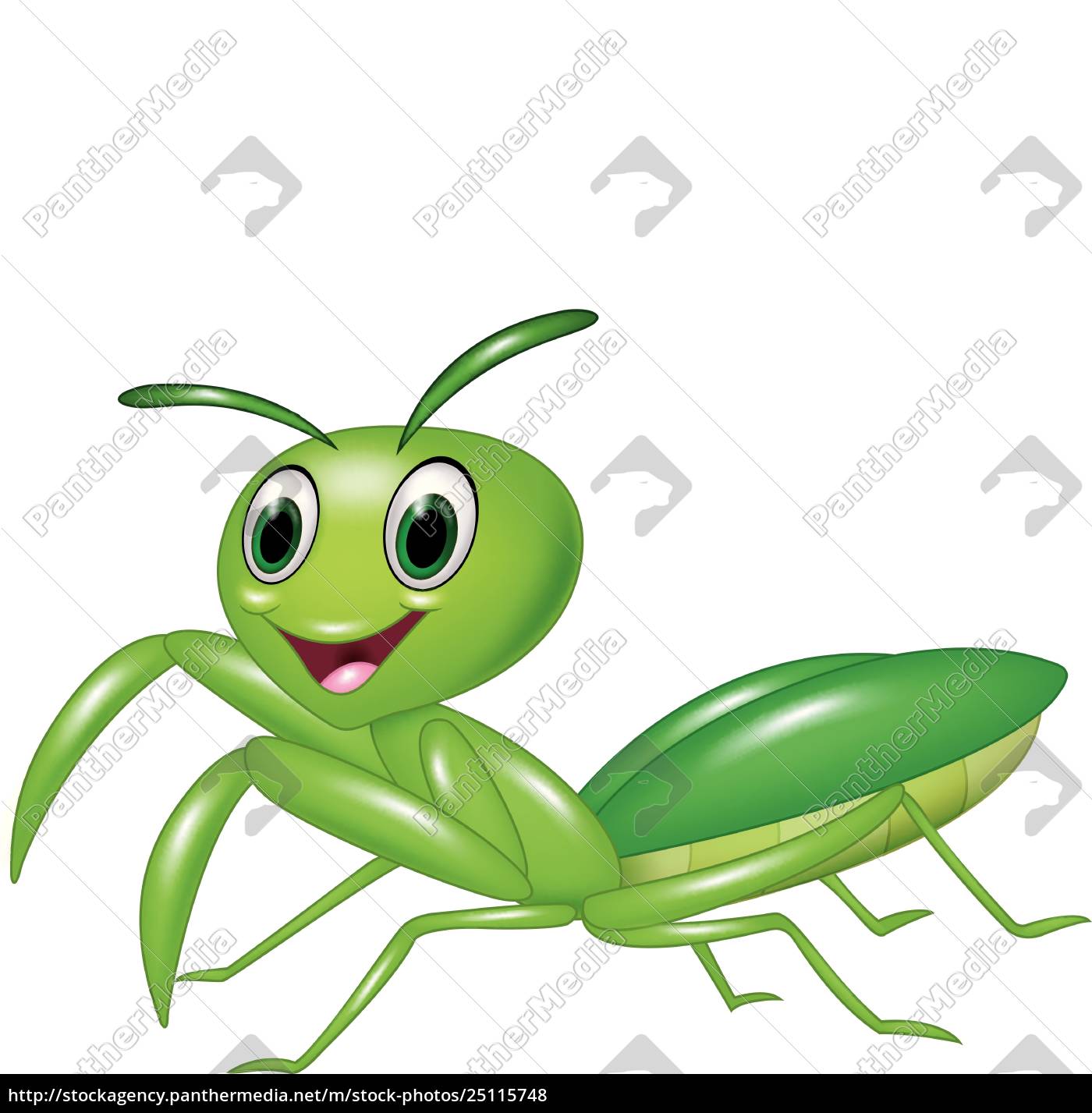 Cartoon lustige beten mantis Grashüpfer isoliert auf Lizenzfreies