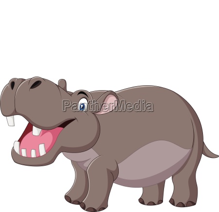 Cartoon Hippo Mit Offenem Mund Stock Photo 25728686 Bildagentur Panthermedia