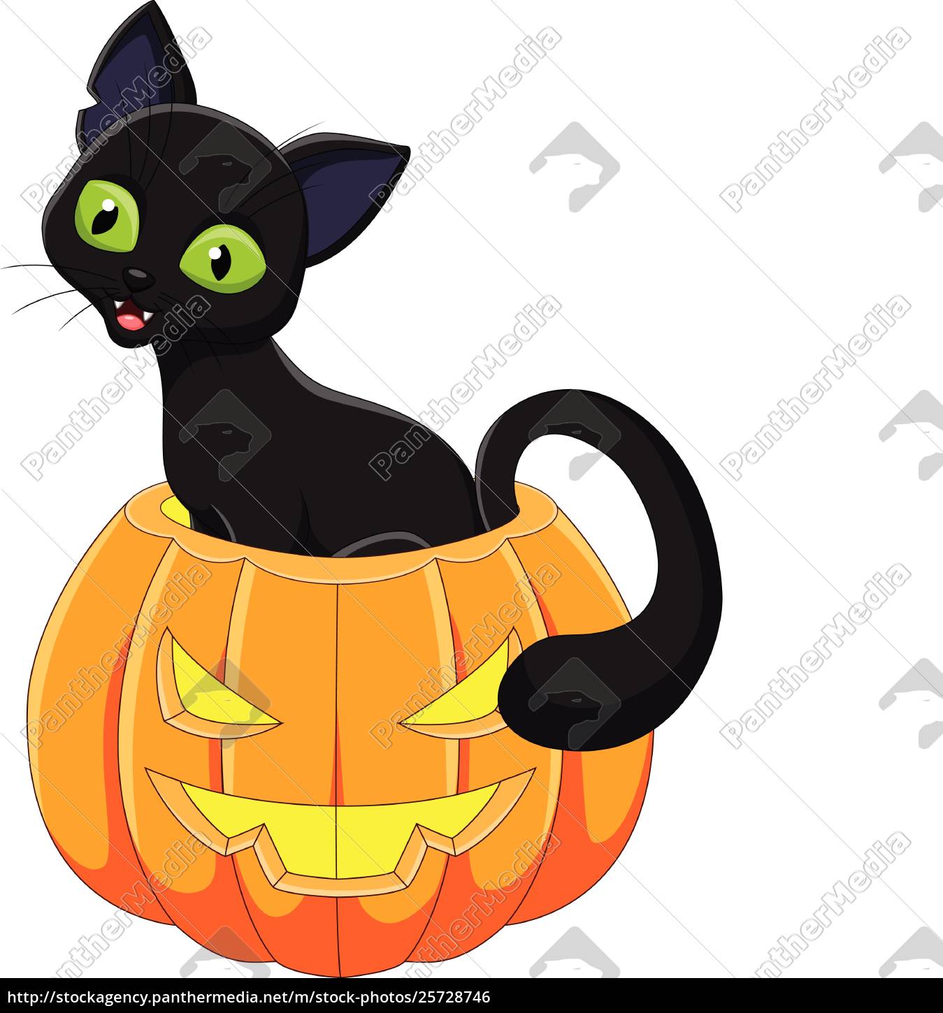 Karikatur Lustige Katze Mit Halloween Kurbis Stock Photo Bildagentur Panthermedia