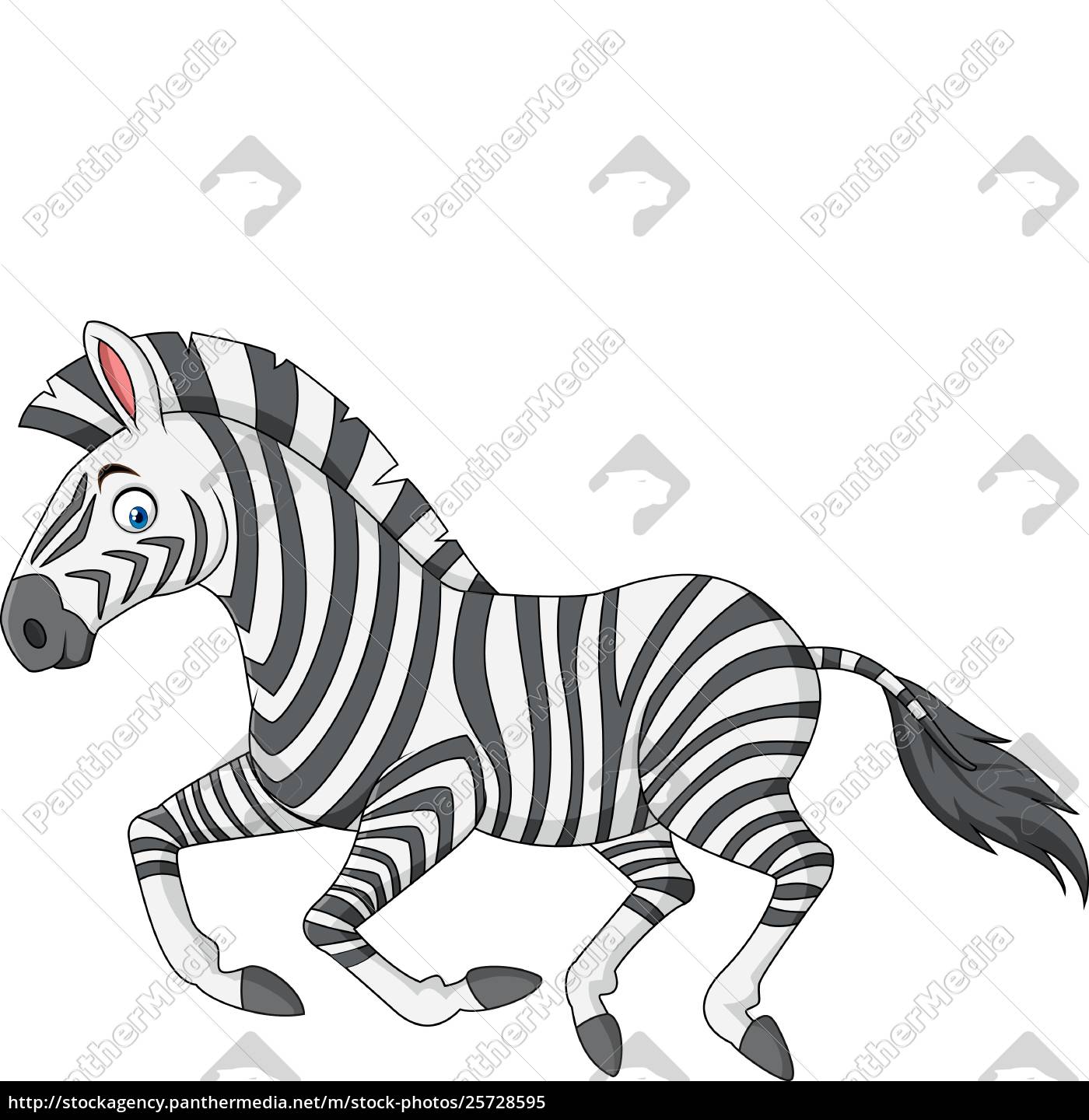 Cartoon Zebra Laufen Lizenzfreies Bild 25728595 Bildagentur Panthermedia