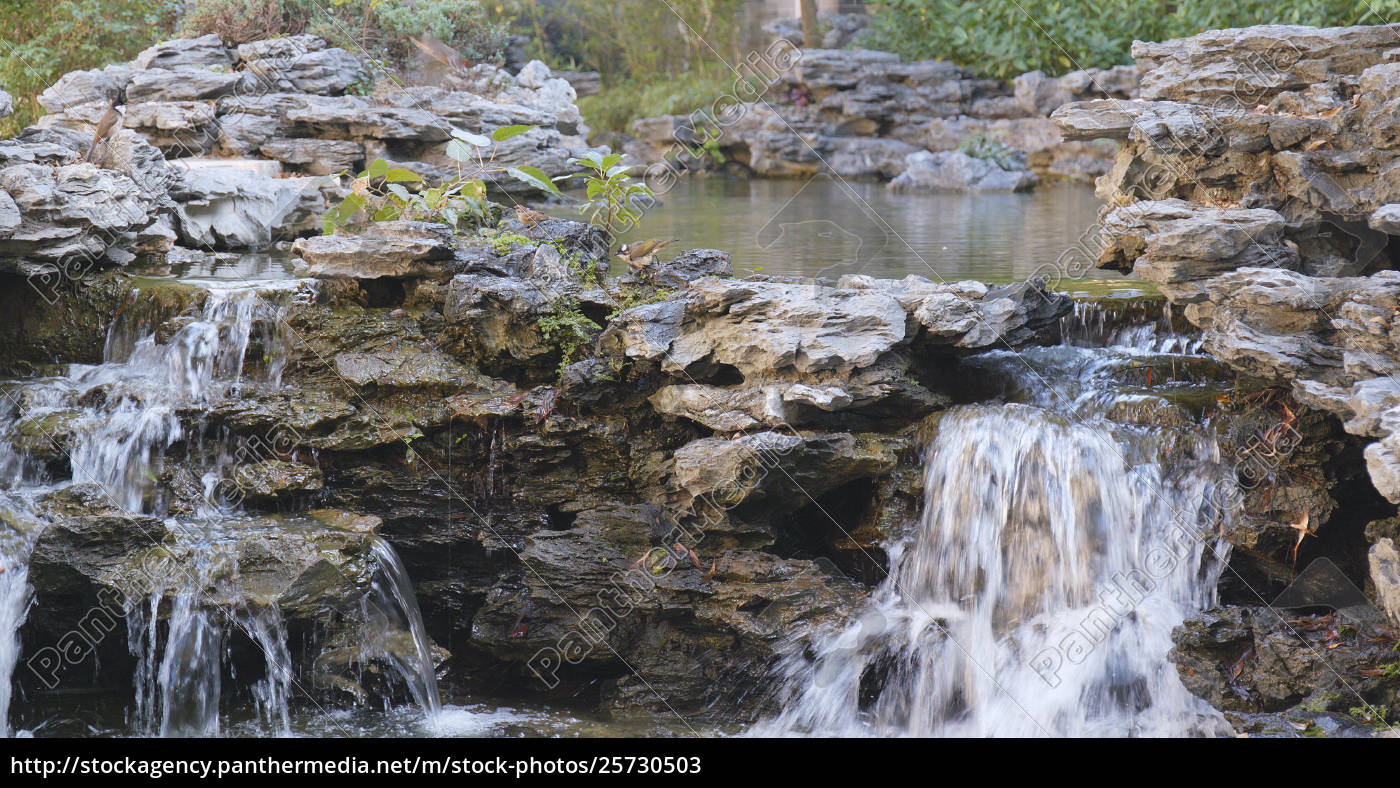 Wasserteich Im Garten Chinesischer Garten Lizenzfreies Bild