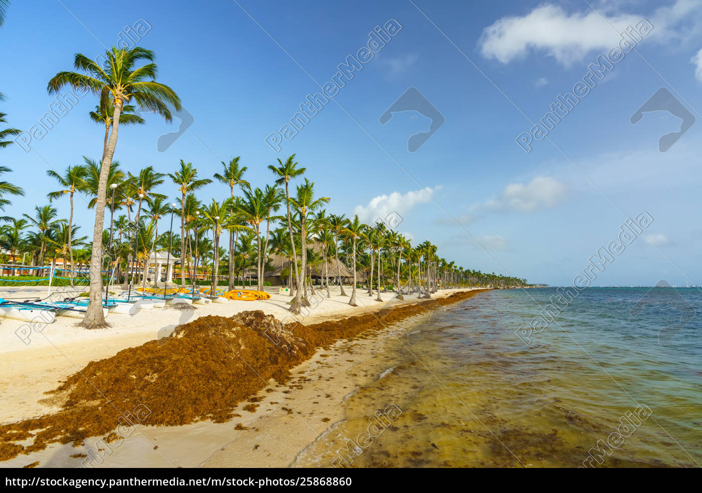 Punta Cana Dominikanische Republik 25 Juni 18 Lizenzfreies Foto Bildagentur Panthermedia