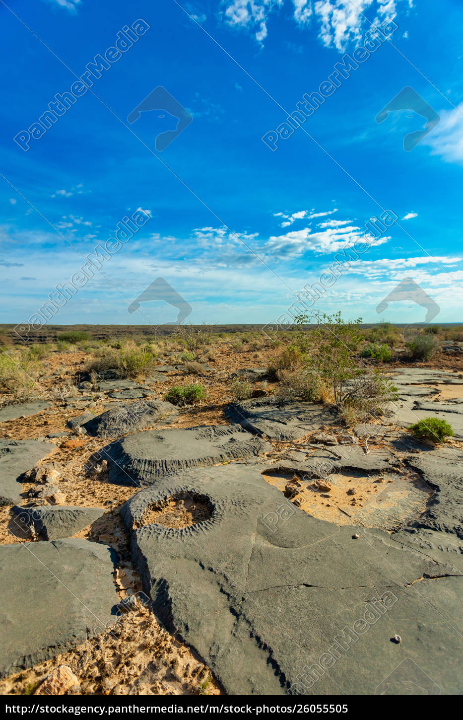 Namib Wuste Namibia Afrika Landschaft Lizenzfreies Bild Bildagentur Panthermedia