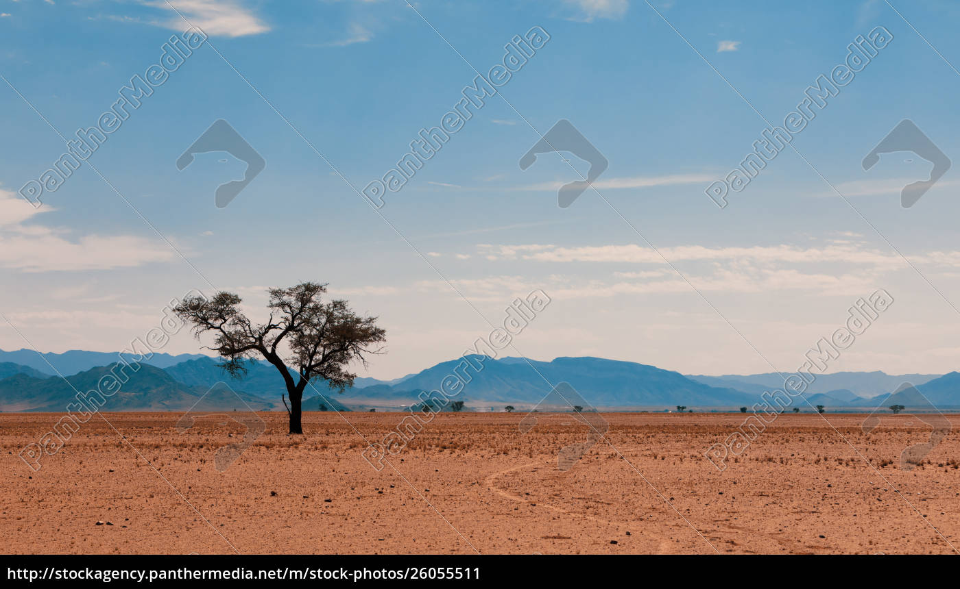 Namib Wuste Namibia Afrika Landschaft Lizenzfreies Bild Bildagentur Panthermedia