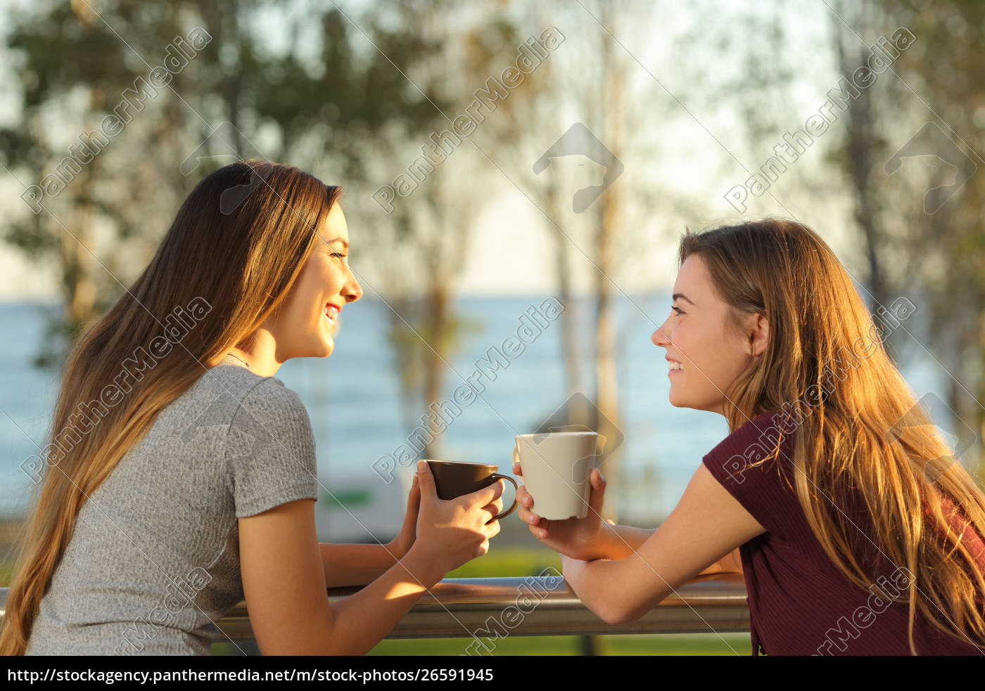 Zwei Glückliche Freunde Im Freien Auf Einem Balkon Lizenzfreies Bild 26591945 Bildagentur 