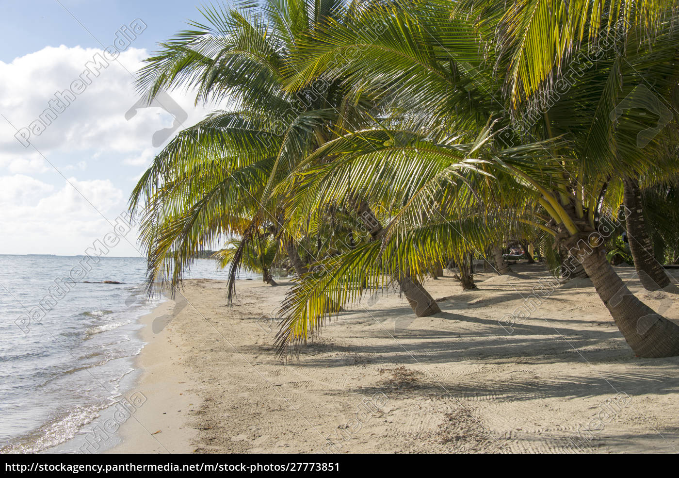 Placencia Belize. Roberts Grove Resort. Gepflegter - Lizenzfreies Bild 