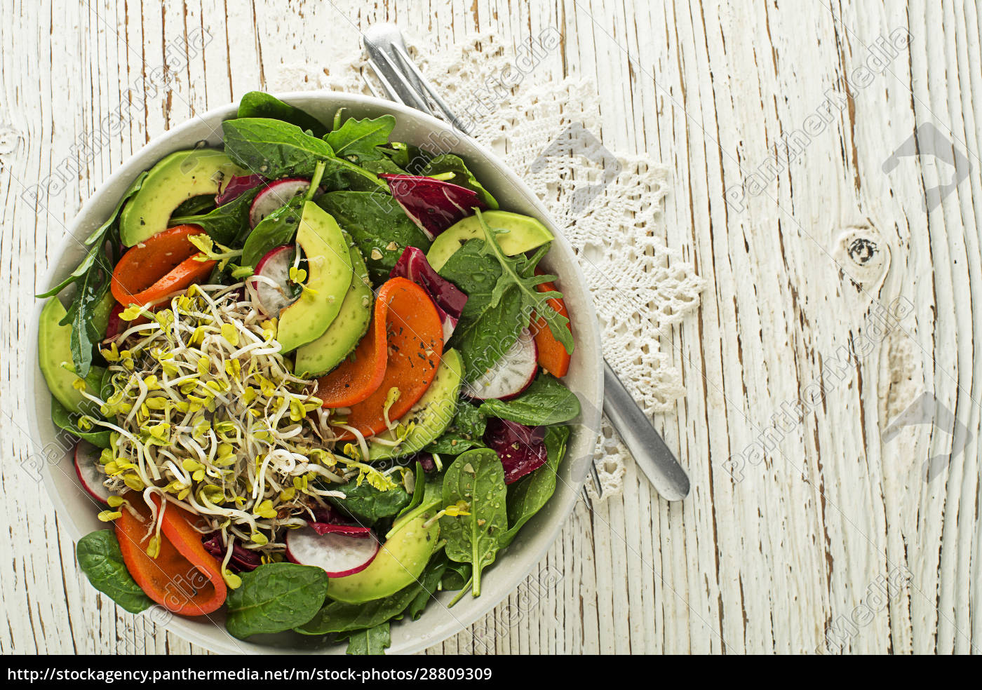 Salat-Alfalfa-Sprossen - Stockfoto - #28809309 | Bildagentur PantherMedia