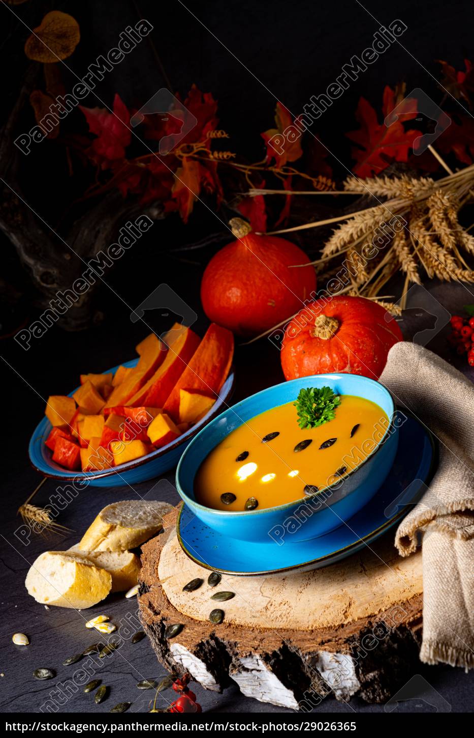 Leckere Cremige Kürbissuppe Mit Kokosmilch - Stockfoto - #29026365 ...