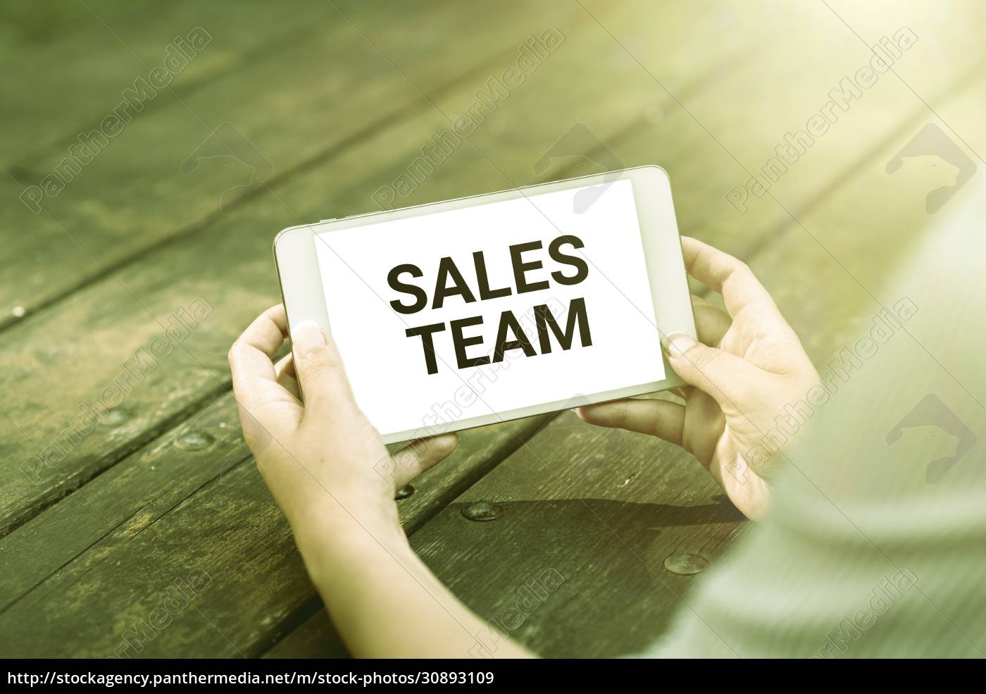 conceptual-caption-sales-team-word-for-they-are-stockfoto-30893109